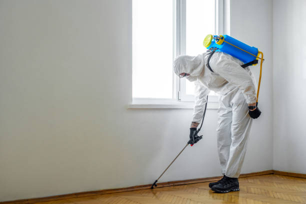 Best Residential Pest Control  in Macopin, NJ